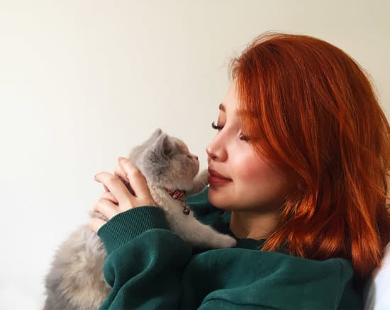 Cat Behaviors: Signs Your Feline Loves You