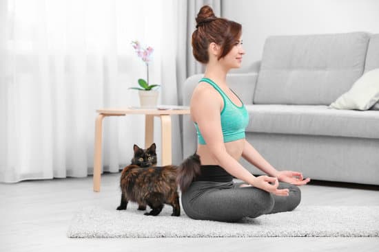 Cats and Yoga: Serenity with Your Cat